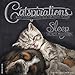 Catspirations 2017 Wall Calendar by 