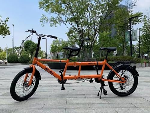 WEEROCK 20 Inch Foldable Tandem Bike for Adults with Seater