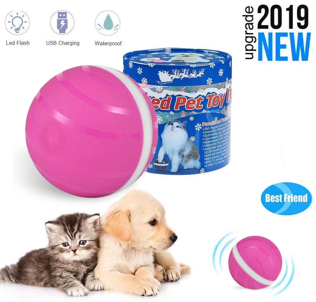 Balls Pet Supplies The Best Gift Smart Interactive Pet Toy Ball Pet