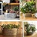 Vtete 2 Pcs Rustic Succulent Planter Box Iron Flower Pot Plant Container Box for 2 Different Sizes
