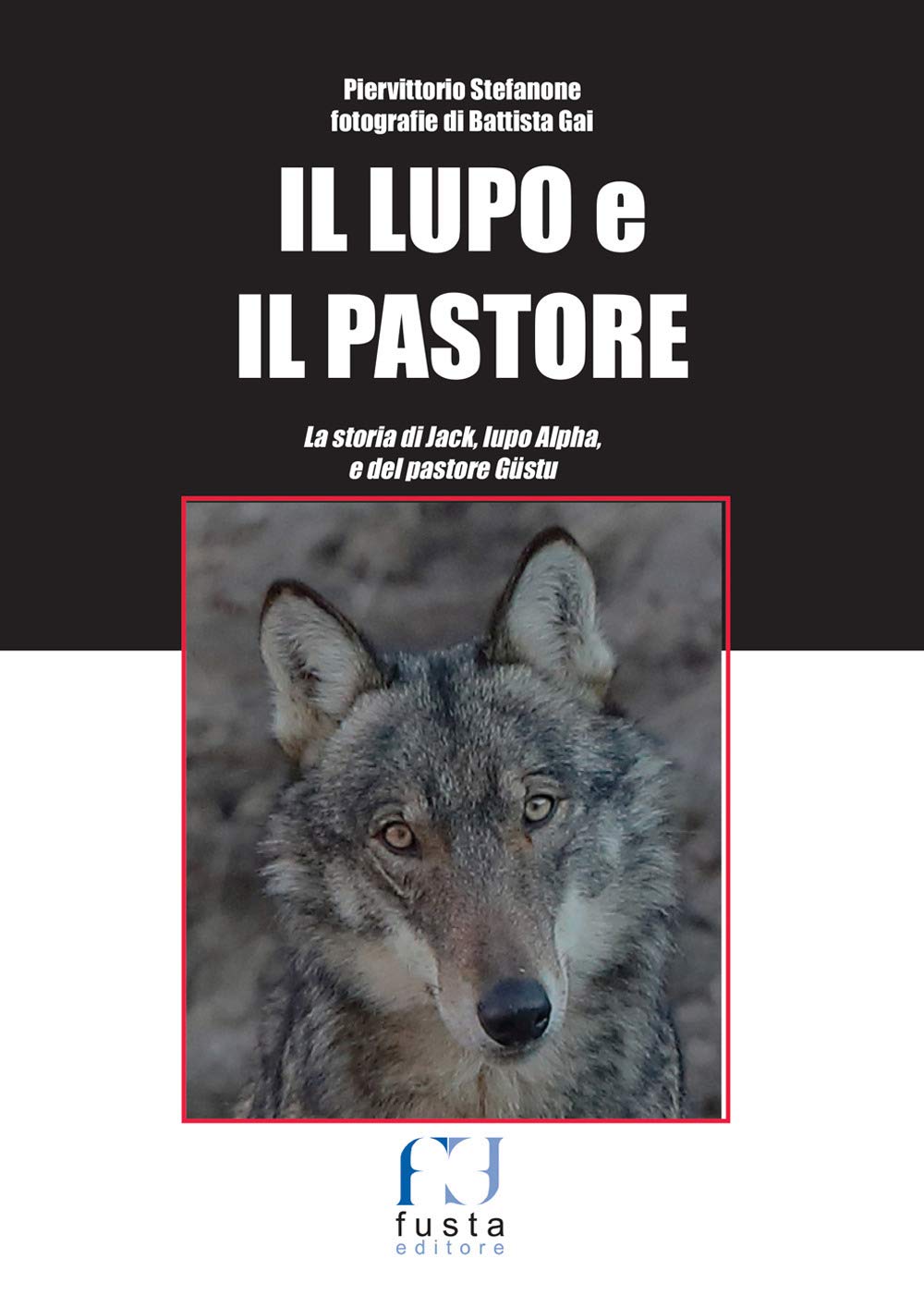 Amazonit Il Lupo E Il Pastore Jack E Güstu Storie