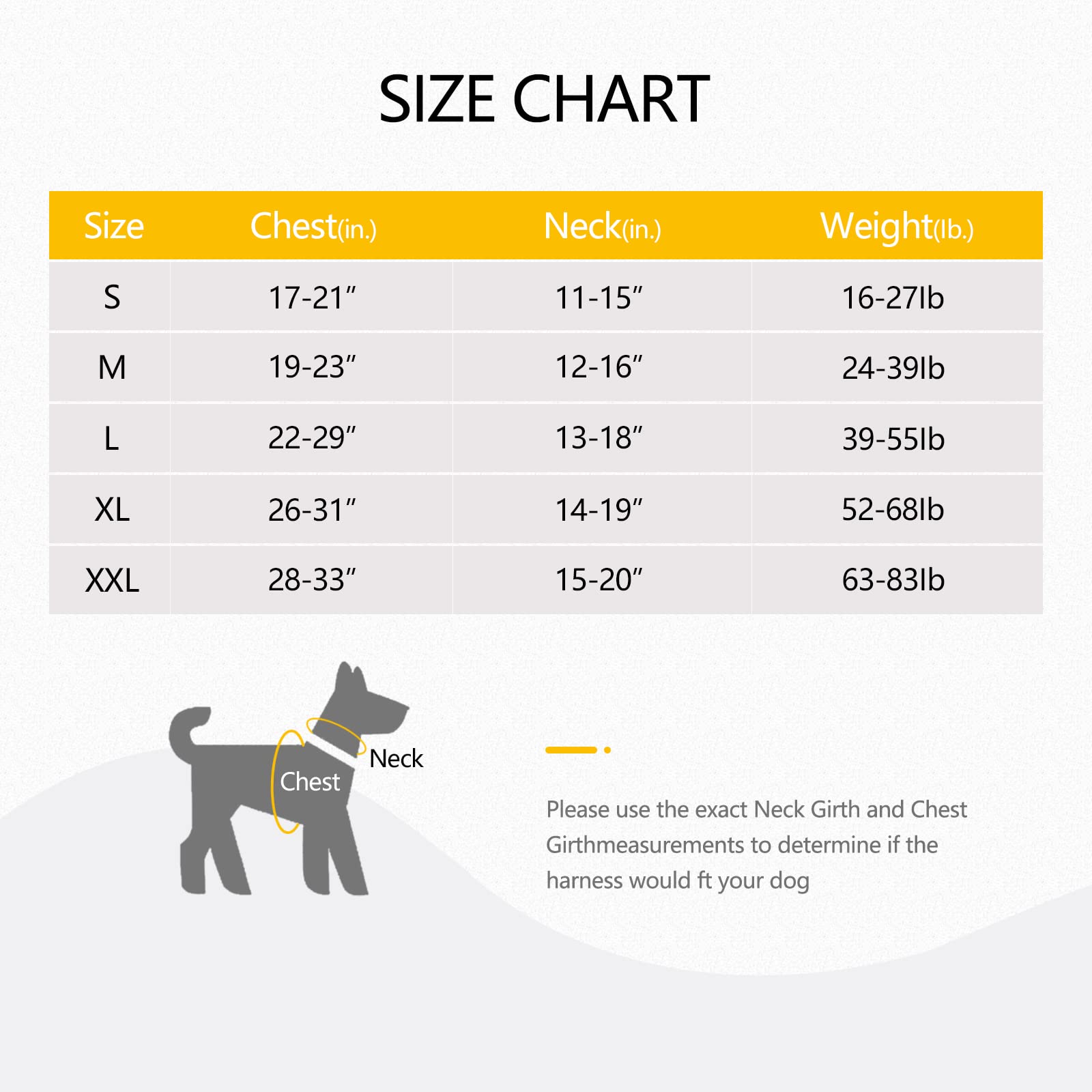 View 4