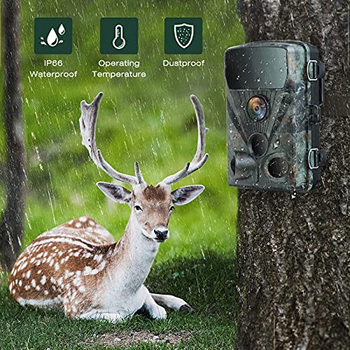 TOGUARD Trail Camera 4K Lite 24MP Game Camera Hunting Wildlife WiFi