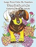Large Print Color By Numbers Dachshunds Adult Coloring Book: Adult Color By Numbers Book in Large Pr by 