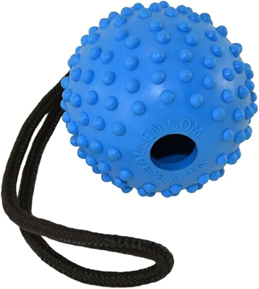 ray allen dog training