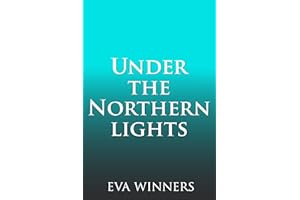 Under the Northern Lights