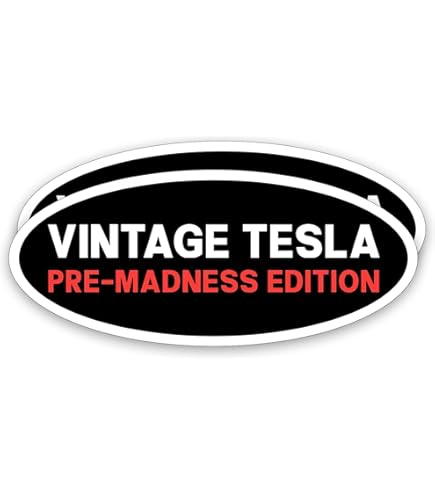 2pcs I Bought This Before We Knew Elon Was Crazy Magnet For Cars Trucks Car Accessory,Funny Bumper Stickers For Tesla Model Y X 3 - View #9