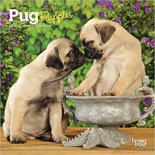 Pug Puppies 2019 7 x 7 Inch Monthly Mini Wall Calendar, Animals Dog Breeds Puppies (Multilingual Edition) Pug Puppies 2019 7 x 7 Inch Monthly Mini Wall Calendar, Animals Dog Breeds Puppies (Multilingual Edition)