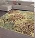 Casamode Area Rug, 5'3