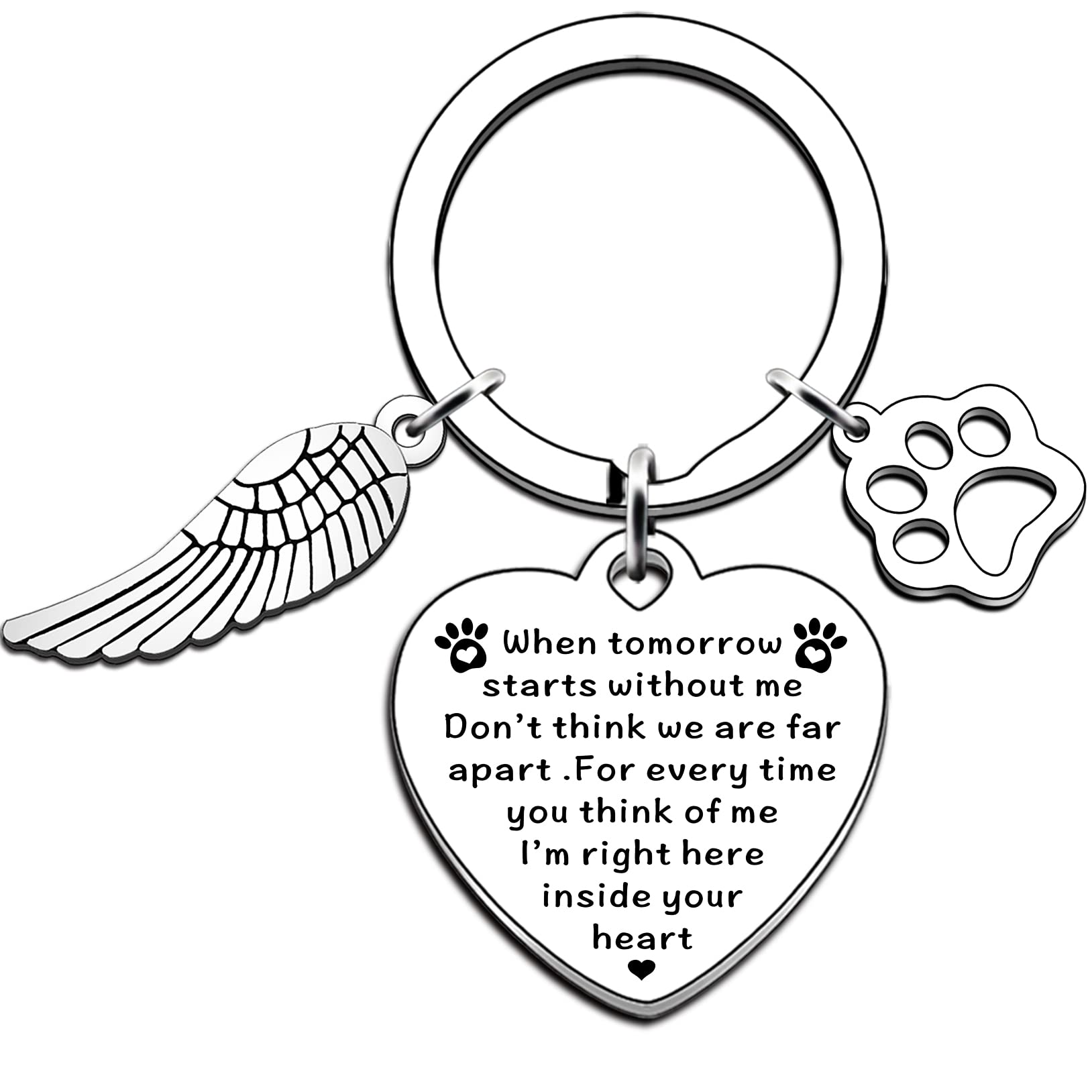 AMZQ Pet Memorial Gifts Loss of Pet Memorial Keyring Sympathy Gifts Memory of Family Dog Cat Remembrance Present for Dog Cat Lover Memorial Keyring Angel with Paws
