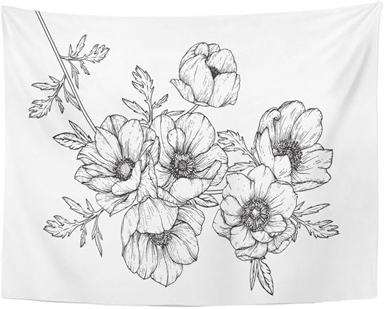 Aocck Tapestry Wall Hanging Botany Anemone Flowers Drawing With Line On White Drawn Sketch Anemones Beauty 60 X 80 Home Decor Art Tapestries For Bedroom Living Room Dorm Apartment Amazon Co Uk Kitchen