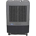 Amazon.com: HESSAIRE MC37M Indoor or Outdoor Portable Oscillating ...