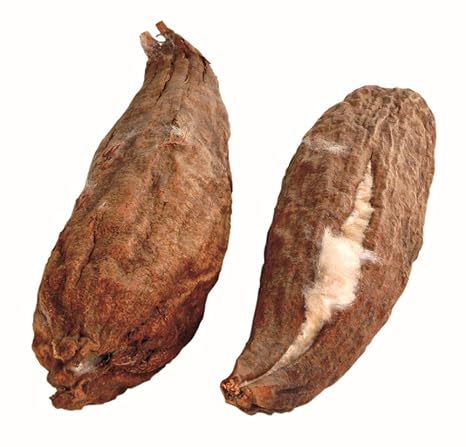 Vainas de Algodón Natural: Amazon.es: Productos para mascotas