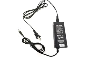 HERISKEER [Verified Fit] 29.4V Scooter Quick Charger, for Go trax G1 Glider, Edge, Nova, GKS Pro Plus Lumios, Flash, Ho.verfly, Remix, SRX A6 Mini, Glide Chrome, Flu.xx FX3 25.2V/24V Lithium Battery