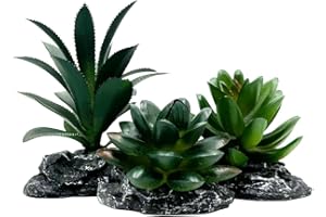 Smoothedo-Pets Reptile Artificial Plants Succulent Terrarium Decor Desert Rainforest Plant Lizard Beard Chameleon Gecko Snake Amphibious Sea Turtle Tank Accessory (Dark-Green-3pcs-Se)