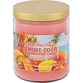 Smoke Odor Exterminator 13oz Jar Candle, Maui Wowie Mango