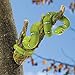 Bits and Pieces - Snake on a Branch Tree Hugger - Outdoor Home Décor Tree Statue - 11