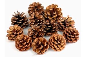 QHZHANG Natural Bulk Christmas Pine Cones for Home Party Decorations,Christmas Tree Fall Ornaments-30Pack