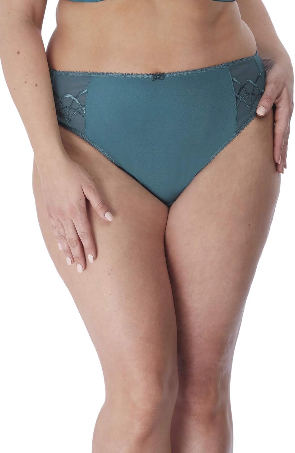 Elomi Women's Plus Size Cate Embroidered Briefs at  Women’s Clothing store