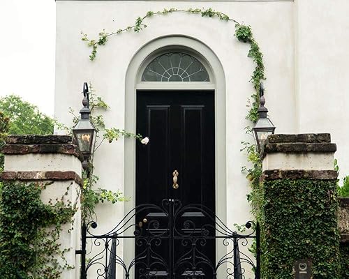 Amazon Com Charleston South Carolina Door Photography Fine Art