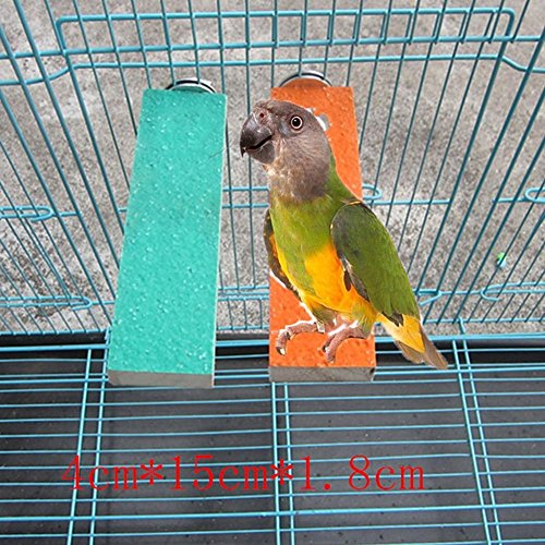 Borange Bird Platform Parrot Perches Birds Natural Woood Stand Quartz Sands Hardwood Branches Perch for Small and Medium Birds Parakeet Conure Cockatiel Budgie