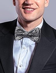 DiBanGu Black Grey Bow Ties for Men Paisley Self