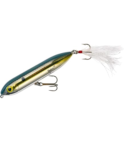 Amazon.com : Heddon - Super Spook Jr Wounded Shad 3 1/2 inch