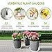 Remiawy Clear Plant Saucers 18 Pack Flower Pot Drip Trays for Indoor & Outdoor Plants Garden Saucers Plant Pot Saucer Trays – Assorted Sizes for Large to Small Pots, 6/8/10 Inchthumb 2