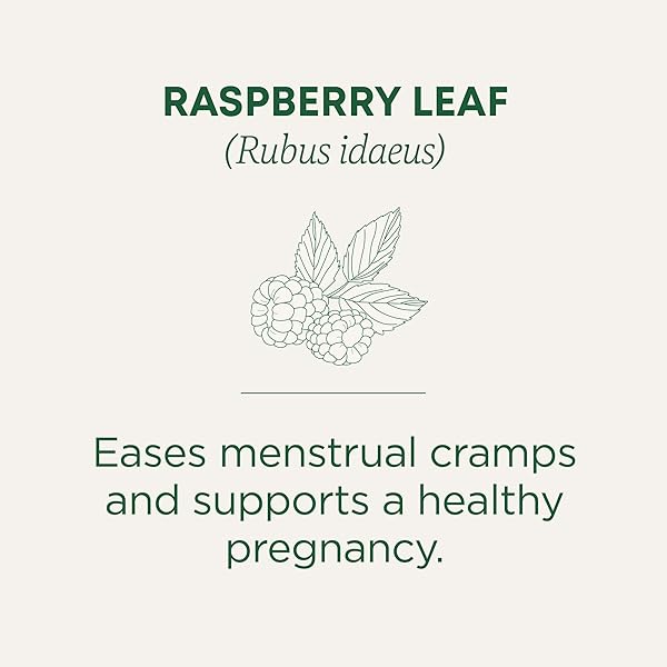 TRADITIONAL MEDICINALS ORGANIC RASPBERRY LEAF HERBAL TEA, EASES MENSTRUAL CRAMPS & SUPPORTS HEALTHY PREGNANCY – 48 TEA BAGS
