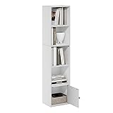 Furinno Luder Shelf Bookcase with 1 Door Storage