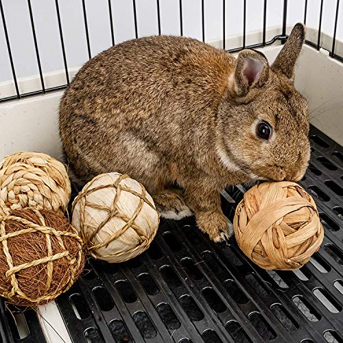 andwe Small Animals Play & Activity Balls Rolling Chew Toys for Rabbits
