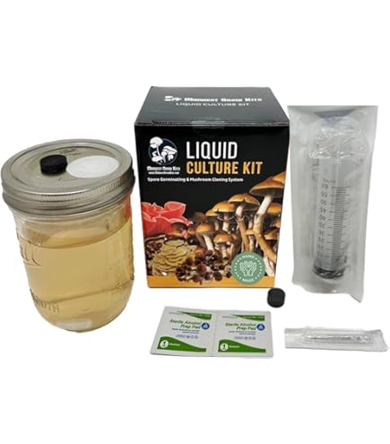 Lot De 10 Sacs De Culture De Champignons Adaptés à Diverses Conditions