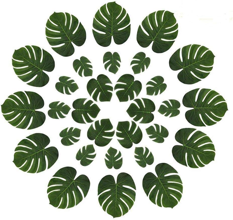 Bestenrose 30 unidades 3 tipos de planta tropical palmera hojas