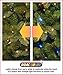 National Tree Company Pre-lit 'Feel Real' Artificial Full Downswept Christmas Tree, Green, Douglas Fir, Dual Color LED Lights, Includes Stand, 9 feet