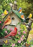 Singing Around the Birdhouse