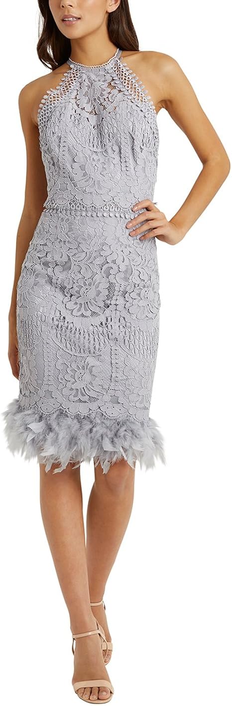 LIPSY Women VIP Lace Embroidered Feather Hem Dress Silver US 12 (UK 16) at Amazon Womenâs 