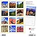 Arizona, Wild & Scenic 2019 12 x 12 Inch Monthly Square Wall Calendar, USA United States of America Southwest State Nature