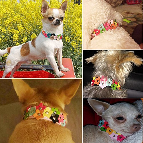 Beirui Cute PU Leather Dog Collar with Adorable Flowers Neck for 10-13",Pink - Thumbnail 6