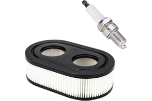 RARELEMON 593260 Tool Parts Oval Air Filter with Spark Plug for Troy-Bilt TB110 TB115 TB200 TB230 TB330 TB370 Walk-Behind Lawn Mower : Garden & Outdoor