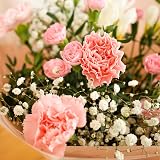 All Occasions Luscious Pinks Bouquet Carnations Freesias Hand Tied Fresh Flowers view 4