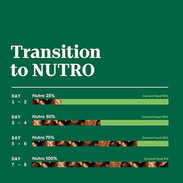 NUTRO NATURAL CHOICE CUTS IN GRAVY WET DOG FOOD, GRAIN FREE DOG FOOD WET LAMB AND BEEF RECIPES VARIETY PACK, 3.5 OZ. TRAYS (12 COUNT, PACK OF 1)