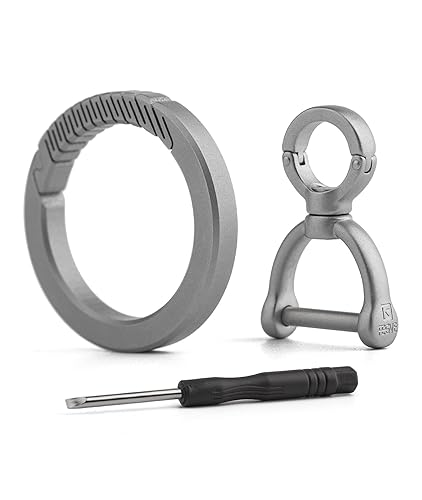 Locking Carabiner Keychain, FEGVE Titanium Small Carabiner Clip