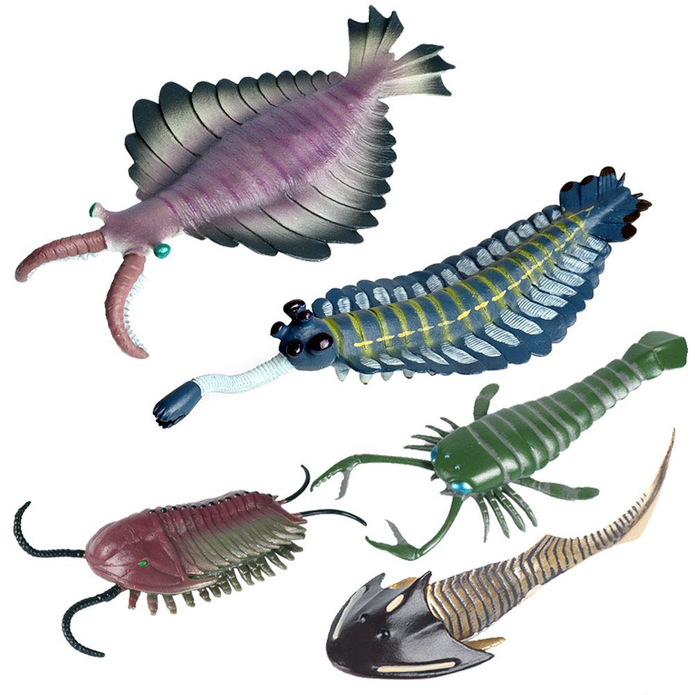JOKFEICE Animal Figures 5 pcs Realistic Plastic Cambrian Ancient Organism Set Includes Anomalocaris, Opabinia, etc. Science Project, Learning Educational Toys, Birthday Gift For Kids Toddlers