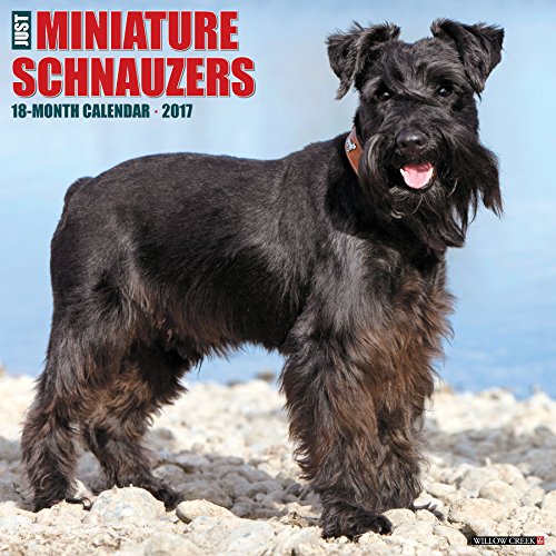 Just Miniature Schnauzers 2017 Wall Calendar (Dog Breed Calendars)