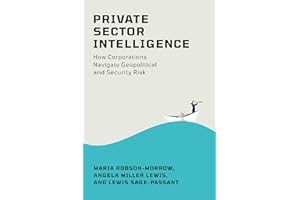 Private Sector Intelligence: How Corporations Navigate Geopolitical and Security Risk