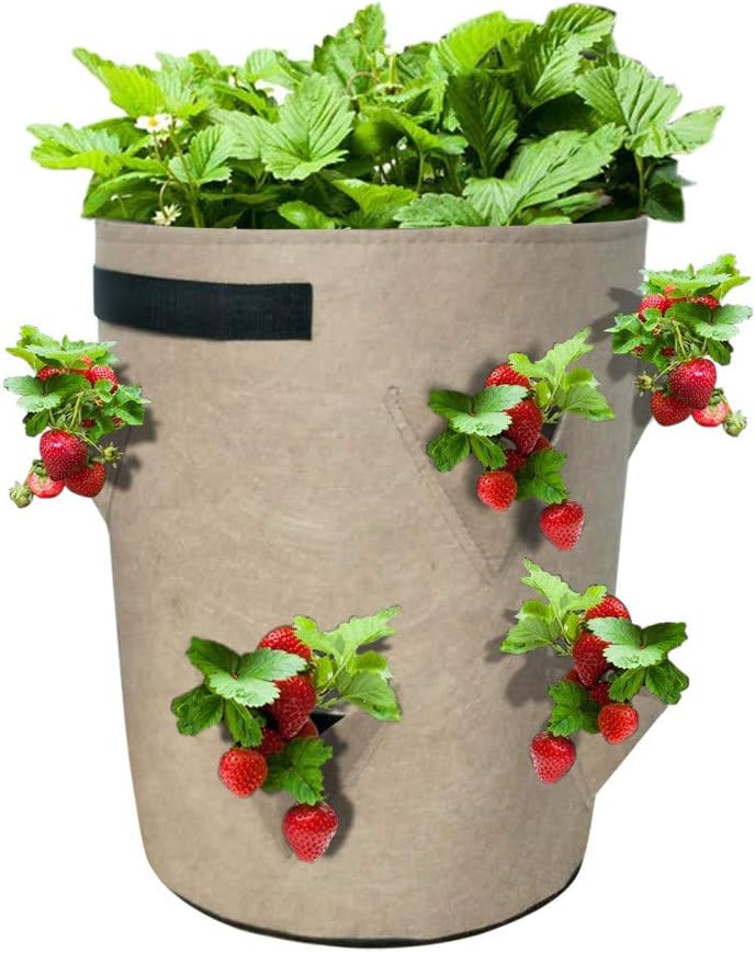 Strawberry Plant Bag, Pstarts Portable Garden Planting Vegetables Grow Bags with Visualization Pockets & Handles for Potato, Tomato, Thicken Felt Cloth Cultivation Container Pot (10 Gallon Beige)