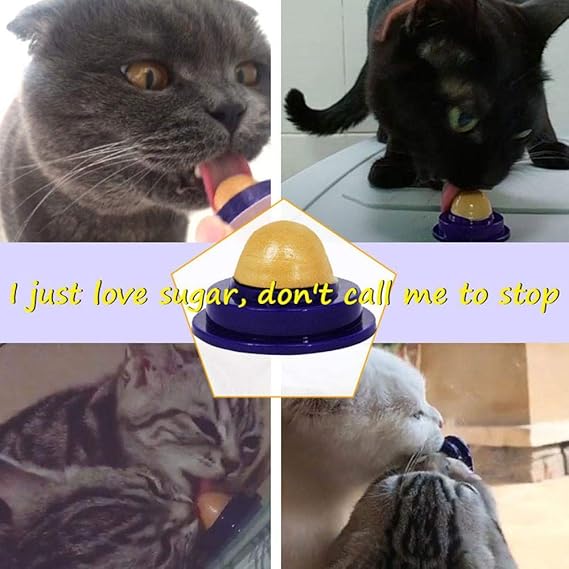 cat treat sugar ball