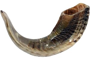 SALE Kosher Black Rams Ram Horn Natural Shofar From Israel Chofar Made in Israel size Between 14-16" (One Pack)