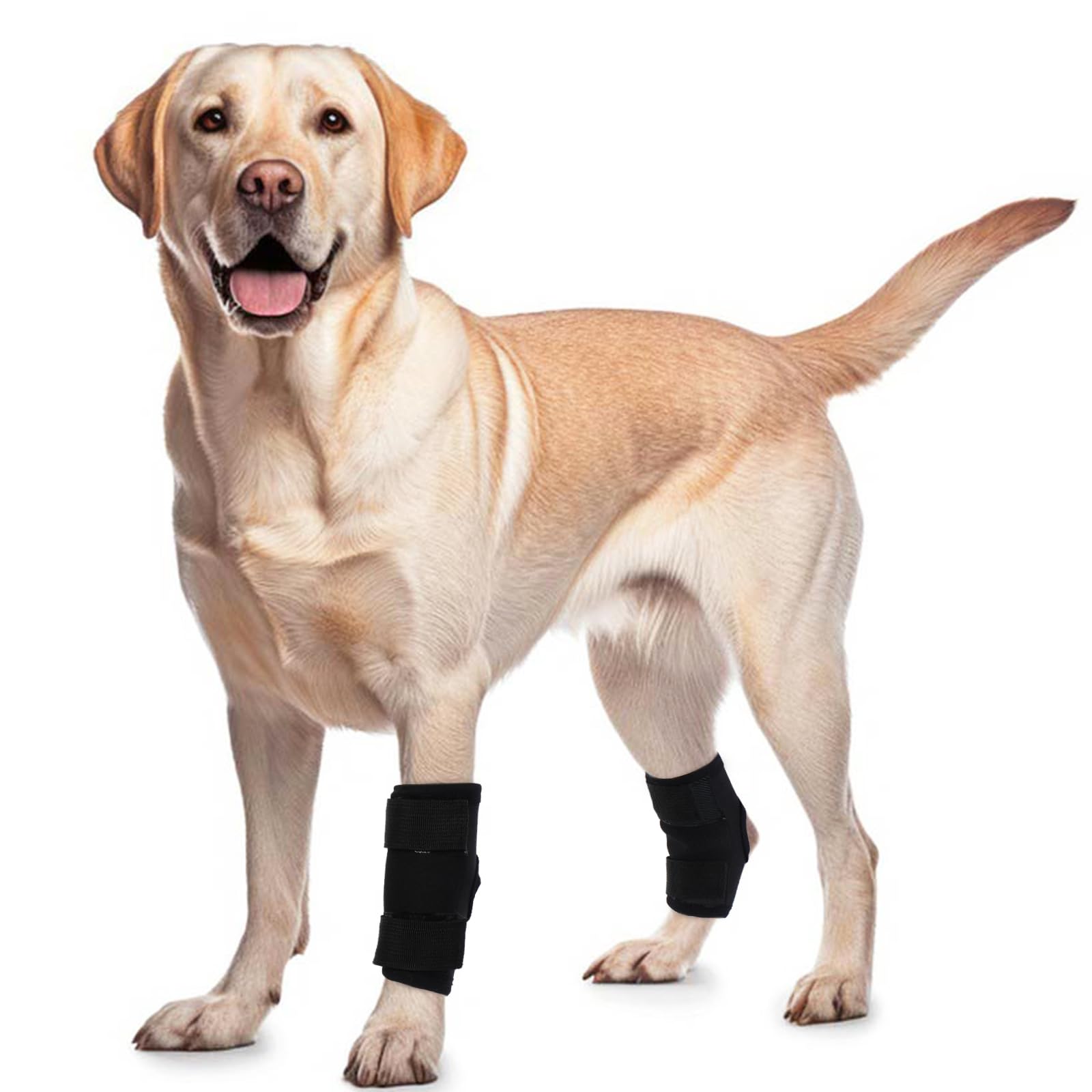 Photo 1 of ROZKITCH Dog Leg Protector for Rear Hock Joint or Front Leg Knee, 1 Pair of Dog Leg Compression Wrap Sleeve for Anti Licking Carpal Support Ankle Support Protect Injury Sprain Torn ACL CCL Black M