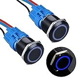 DMWD 2pcs 22MM Momentary Push Button Switch 12V-24V